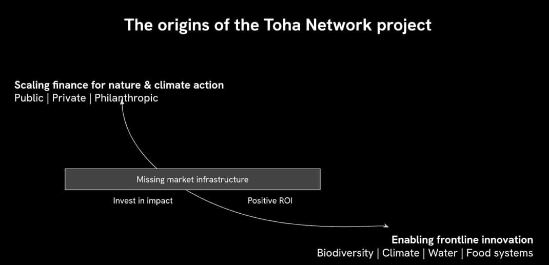 The origins of the Toha Network project